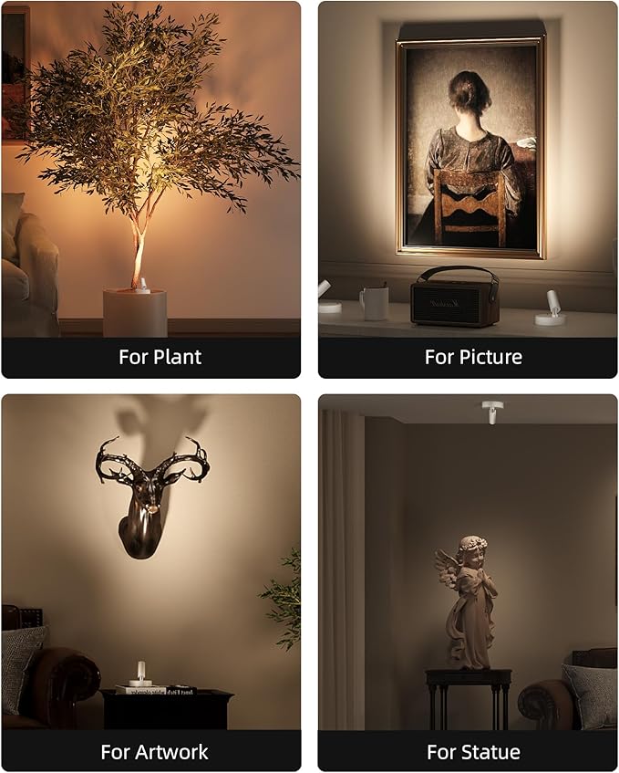 EZVALO Spot Lights Indoor,5500mAh Rechargeable Picture Lights with Remote,Wireless Mini Art Accent Spot Lights with Timer&Dimmable, 3CCT, Uplights Indoor for Plants,Display,Artwork(2Pack-White)