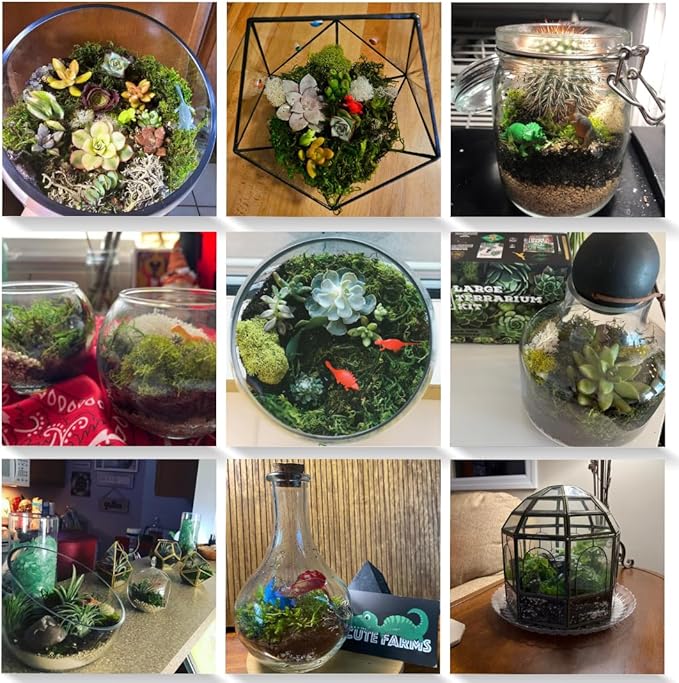 Cute Farms Terrarium Starter Kit | Moss, Vermiculite, Soil, Pebbles, Plant Food, Finishing Tools, Build and Care Guide | DIY Succulent Terrarium for Adults and Kids (Large)