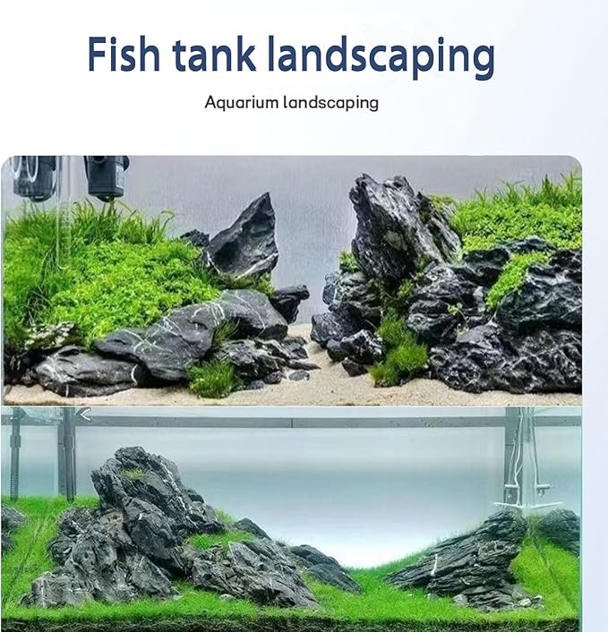 Dragon Stone Aquarium Rock Seiryu Stone for Aquariums, Fish Tanks, Bonsai, Terrariums, Wargaming Dioramas, Indoor or Outdoor Gardens-40Lb(2-10 Inch)