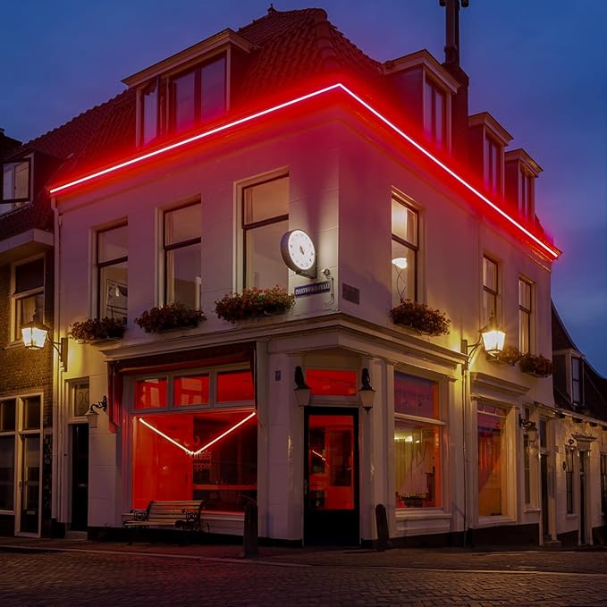 GZBtech Flexible LED Neon Rope Lights 16.4FT,AC 110-120V Waterproof Strip Light, 120LEDs/M Cuttable Connectable Neon Lighting for Indoor Outdoor Home Decor/Commercial Building Use-Red 5M