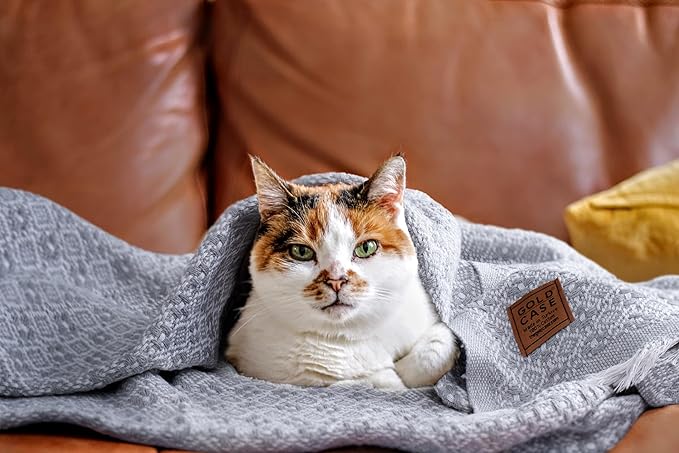 Gold Case Throw Blanket for Couch - 100% Recycled Turkish Cotton Blankets & Throws - Retro Soft Throw Blankets for Living Room Sofa - Boho Decorative Woven Throws for Couch - 60x80 - Black