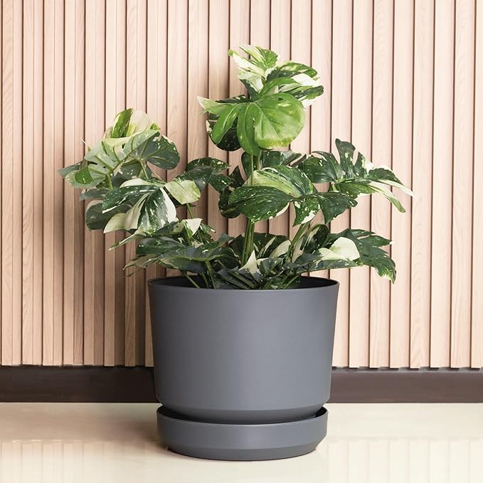 Elly Décor 10 inch Plastic Cylinder Planter Pot with Self-Watering Saucer and Drainage Hole,Lightweight & Extremely Durable, 10"x 10", Gray
