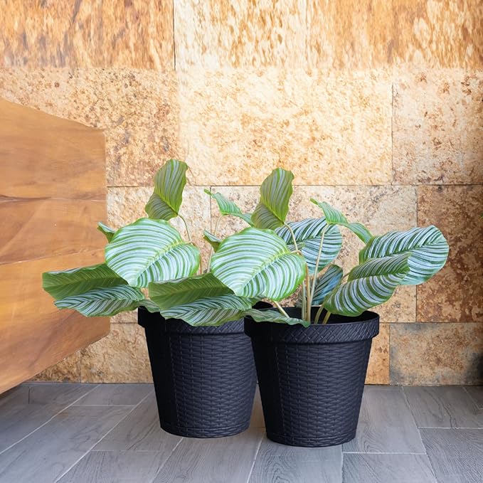 Elly Décor Set of 2 10 inch Round Saucer Modern Self Watering Planter Plates, Pots with Rattan-Like Finish, 10x10 Onix Gray