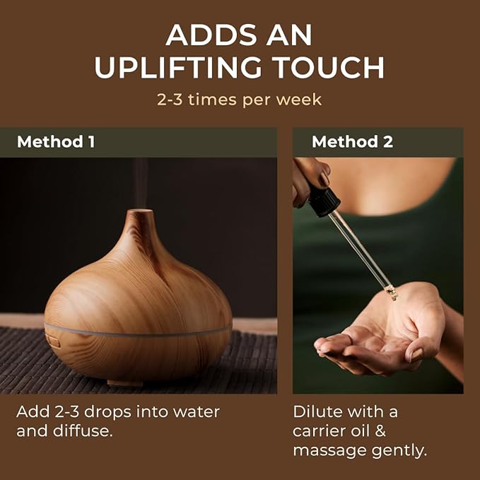 Gya Labs Pine Essential Oils for Diffuser - 0.34 Fl Oz - 100% Pure Natural Fall Pine Oil for Skin, Body Massages & Candle Making Scent