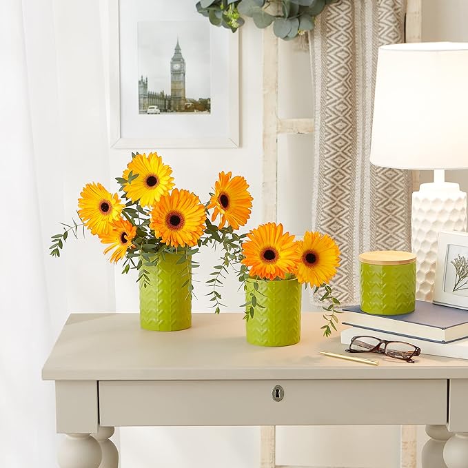 DII Kitchen Accessories Collection, Textured Matte Ceramic Canister Set, Avocado, Vine, 3 Piece