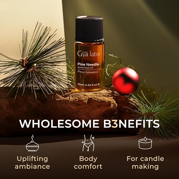 Gya Labs Pine Essential Oils for Diffuser - 0.34 Fl Oz - 100% Pure Natural Fall Pine Oil for Skin, Body Massages & Candle Making Scent