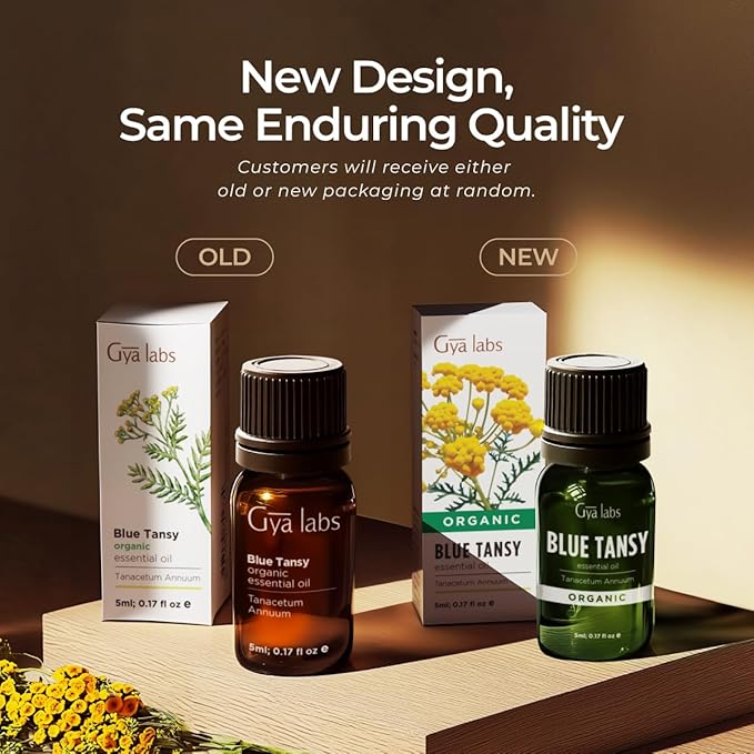 Gya Labs Blue Tansy Essential Oils for Skin - 0.17 Fl Oz - 100% Pure Natural Organic Blue Tansy Oil for Face, Diffuser, Candle Making Scent