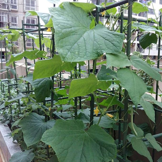 Garmeinea Garden Stakes 30 Inches Plastic Coated Steel Plant Stakes for Growing Climbing Plants, Pack of 25