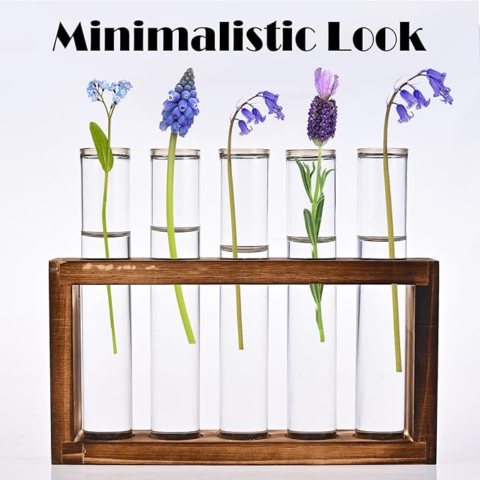 Desktop Glass Plant Propagation Station with 5 Test Tubes in Wooden Stand - Hydroponic Plants Cutting Office Home Decoration and Garden Decor Terrarium (5 Tubes)