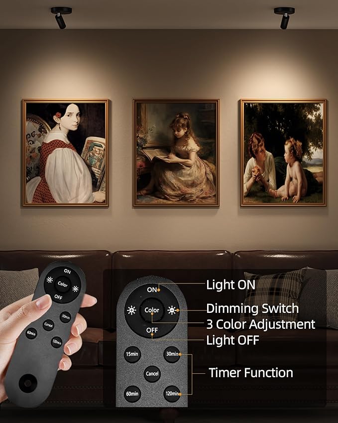 EZVALO Spotlights Indoor with Remote, 5500mAh Rechargeable Picture Lights, Wireless LED Uplighting with Timer＆Dimmable, 3CCT, Display Lights for Plant Painting, Artwork, Accent Lighting (2Pack-Black)