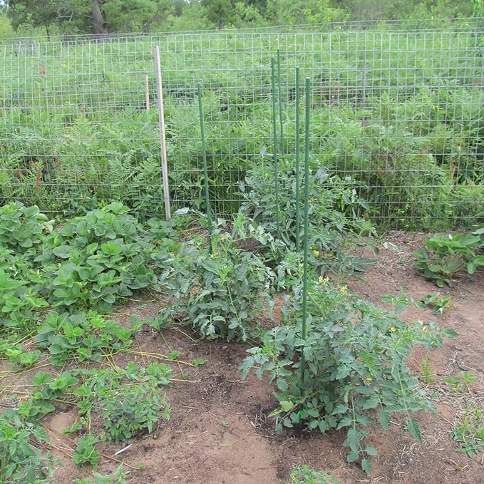 Garden Plant Stakes 57 Inch (Approx 5Ft) Steel Plant Stick Support, 25 Pack Tomato Stakes for Growing Climbing Plants, Potted Plants, Tomatoes, Trees, Cucumber, Beans, Fences Poles