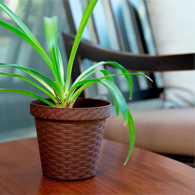 Elly Décor Set of 2 10 inch Round Saucer Modern Self Watering Planter Plates, Pots with Rattan-Like Finish, 10x10 chococlate Brown