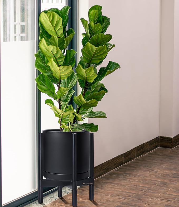 D'vine Dev Ceramic Planter with Ebony Stand - 12 Inch Modern Round Flower Pot with Wood Planter Holder, Black, 55-B-H-2