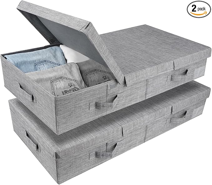 DAYARD Underbed Storage Container Bins with Lids, Under Bed Storage Organizer with Sturdy Handles Sidewalls Bottom, Foldable Clothes Bag (Set of 2) Large, Grey