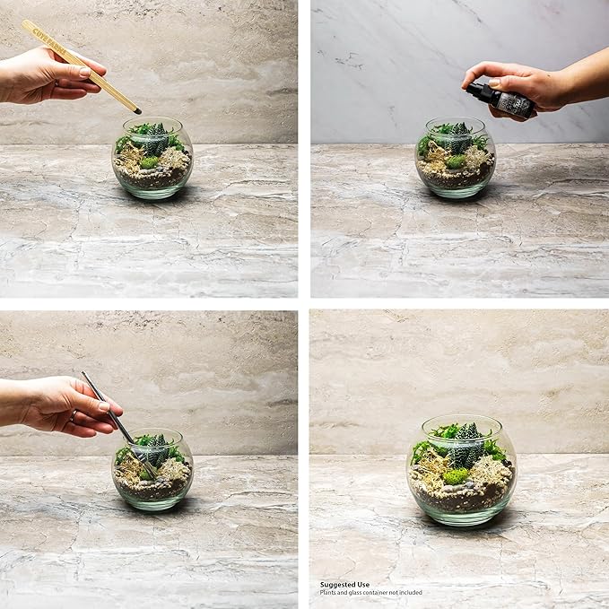 Cute Farms Terrarium Starter Kit | Moss, Vermiculite, Soil, Pebbles, Plant Food, Finishing Tools, Build and Care Guide | DIY Succulent Terrarium for Adults and Kids (Large)