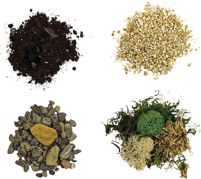 Cute Farms Terrarium Starter Kit | Moss, Vermiculite, Soil, Pebbles, Plant Food, & Finishing Tools (Medium Kit + Live Plants)