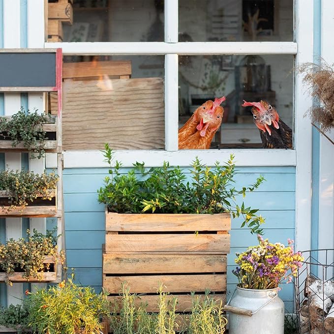 Funny Chicken Wall Decals - Peel & Stick - 2 Hens Head Window Cling - Cute Chicken Window Stickers - Gift Decal