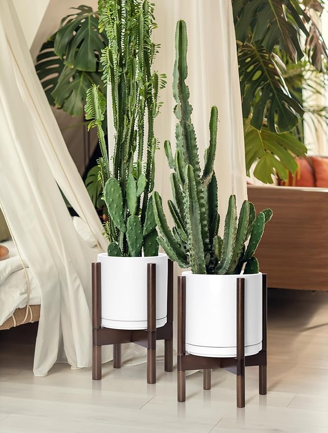 D'vine Dev Ceramic Planter with Walnut Color Stand - 8 Inch Modern Round Flower Pot with Wood Planter Holder, White, 55-B-Y-1