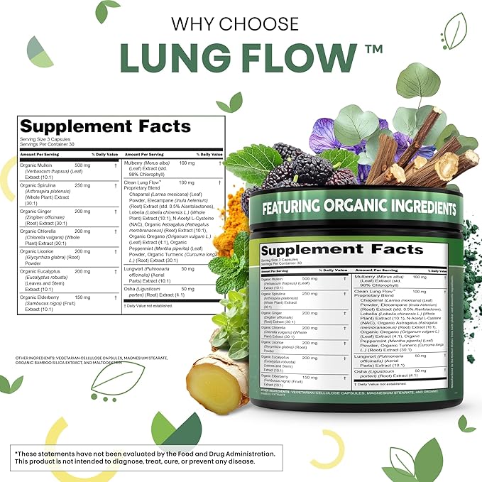 Clean Nutra Mullein NAC Supplement Spirulina Chlorella Ginger Licorice Mulberry Astragalus Root Oregano Turmeric with Chlorophyll Berries Detox Cleanse Respiratory Lung Health 90 Capsules